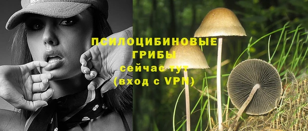 ГАЛЛЮЦИНОГЕННЫЕ ГРИБЫ Медногорск