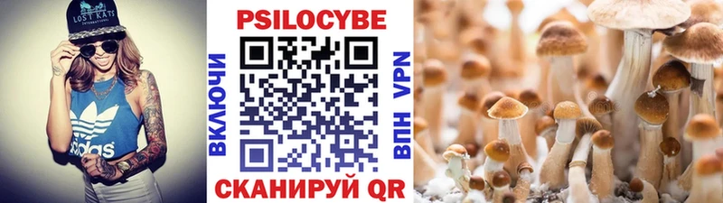Псилоцибиновые грибы Cubensis  купить наркотик  Райчихинск 